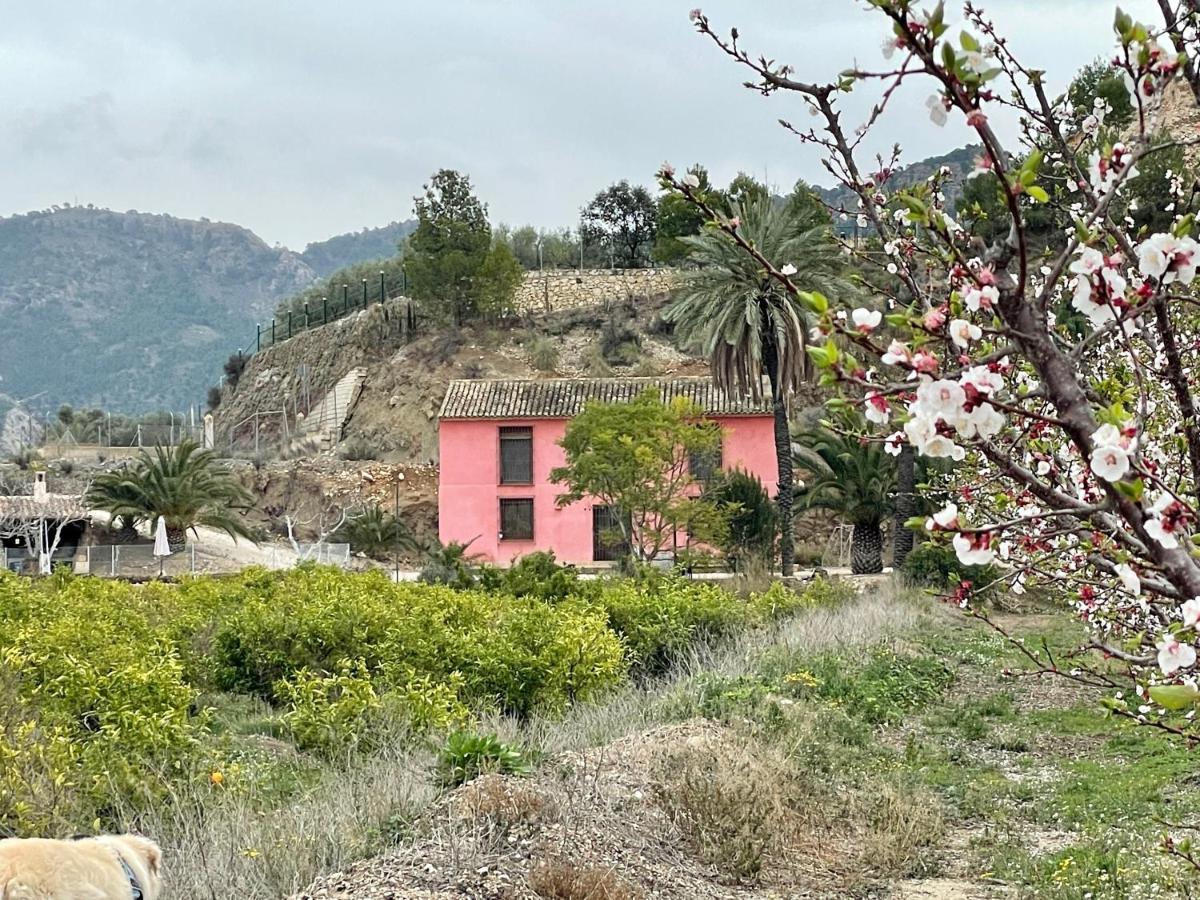 Casa Ramoncico. Finca El Campillo Blanca Bagian luar foto