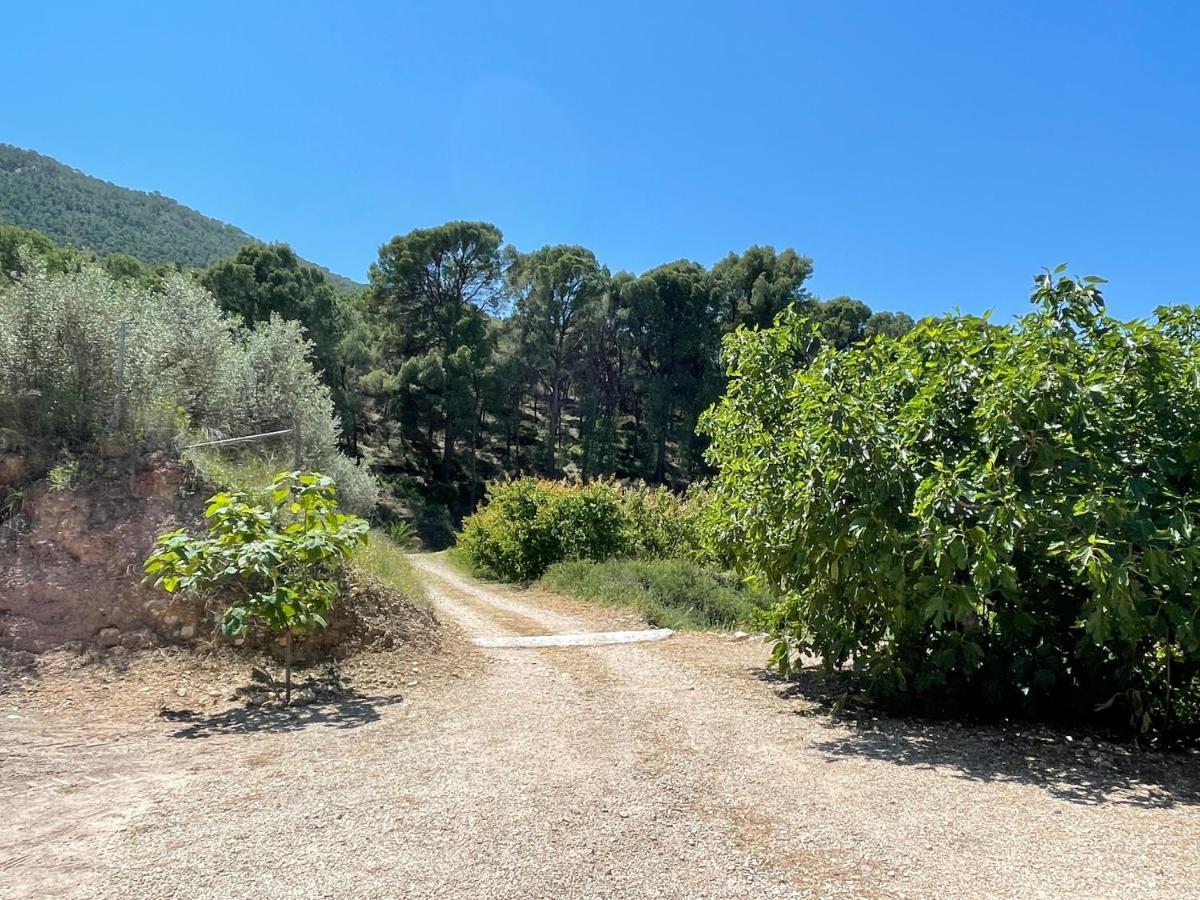 Casa Ramoncico. Finca El Campillo Blanca Bagian luar foto