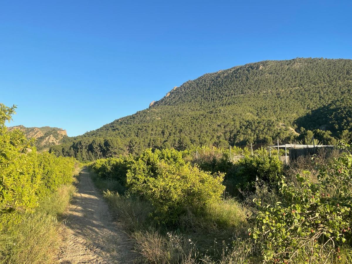 Casa Ramoncico. Finca El Campillo Blanca Bagian luar foto