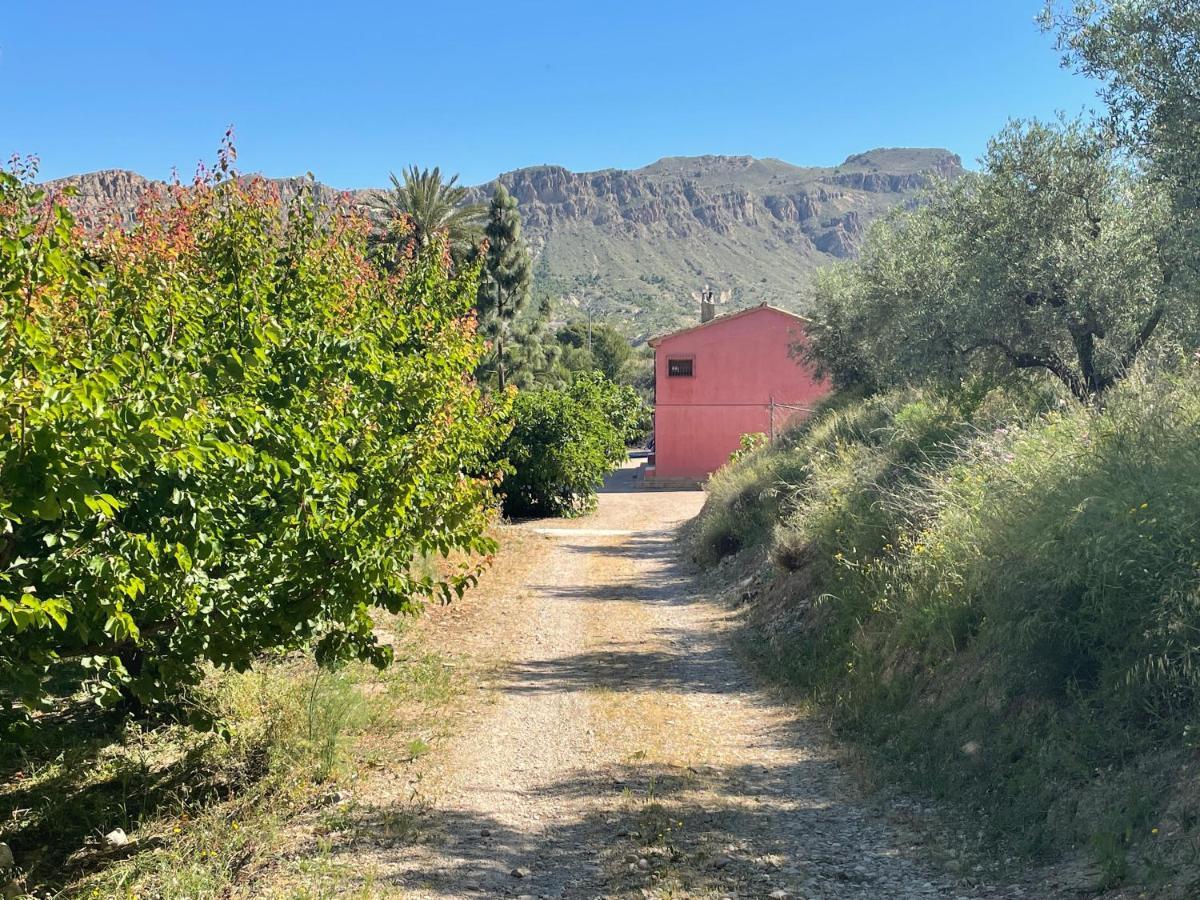 Casa Ramoncico. Finca El Campillo Blanca Bagian luar foto