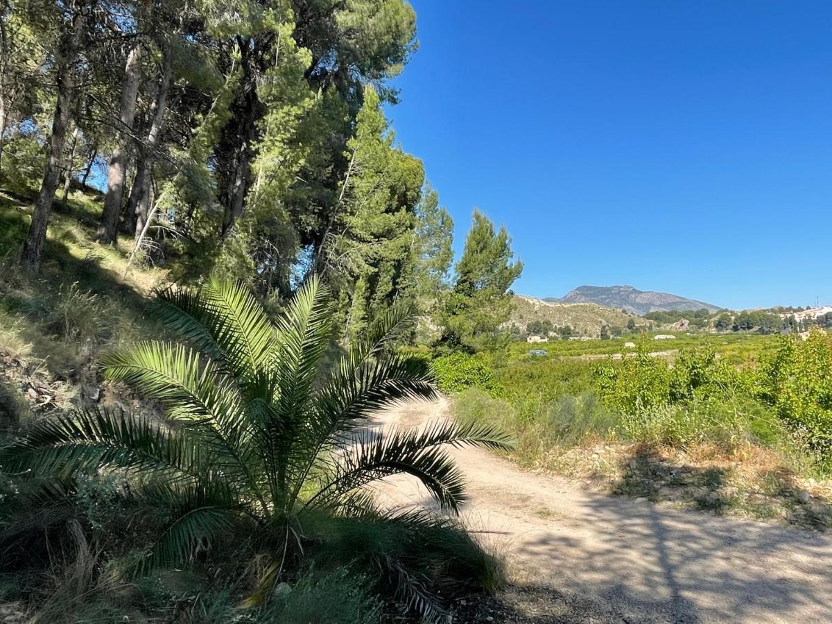 Casa Ramoncico. Finca El Campillo Blanca Bagian luar foto